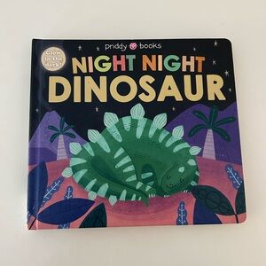 Night Night Dinosaur Glow in the Dark Book